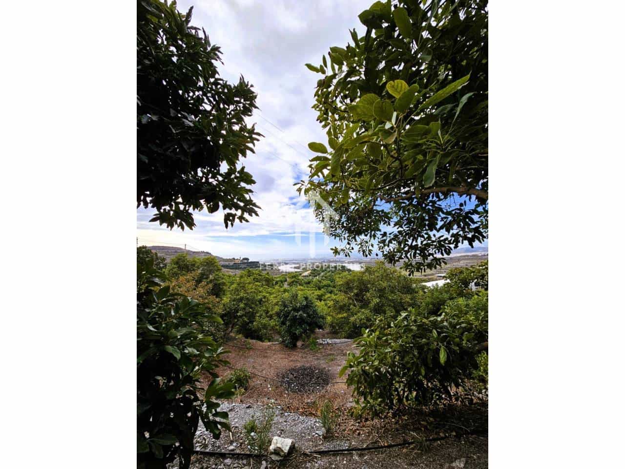 Finca/Landhuis te koop in Motril - € 645.000 (Ref: 9152642)