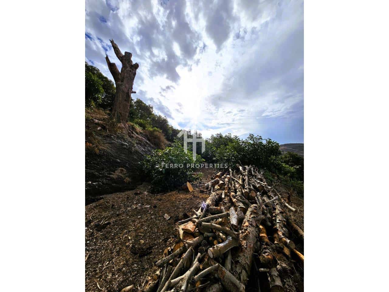 Finca/Landhuis te koop in Motril - € 645.000 (Ref: 9152642)