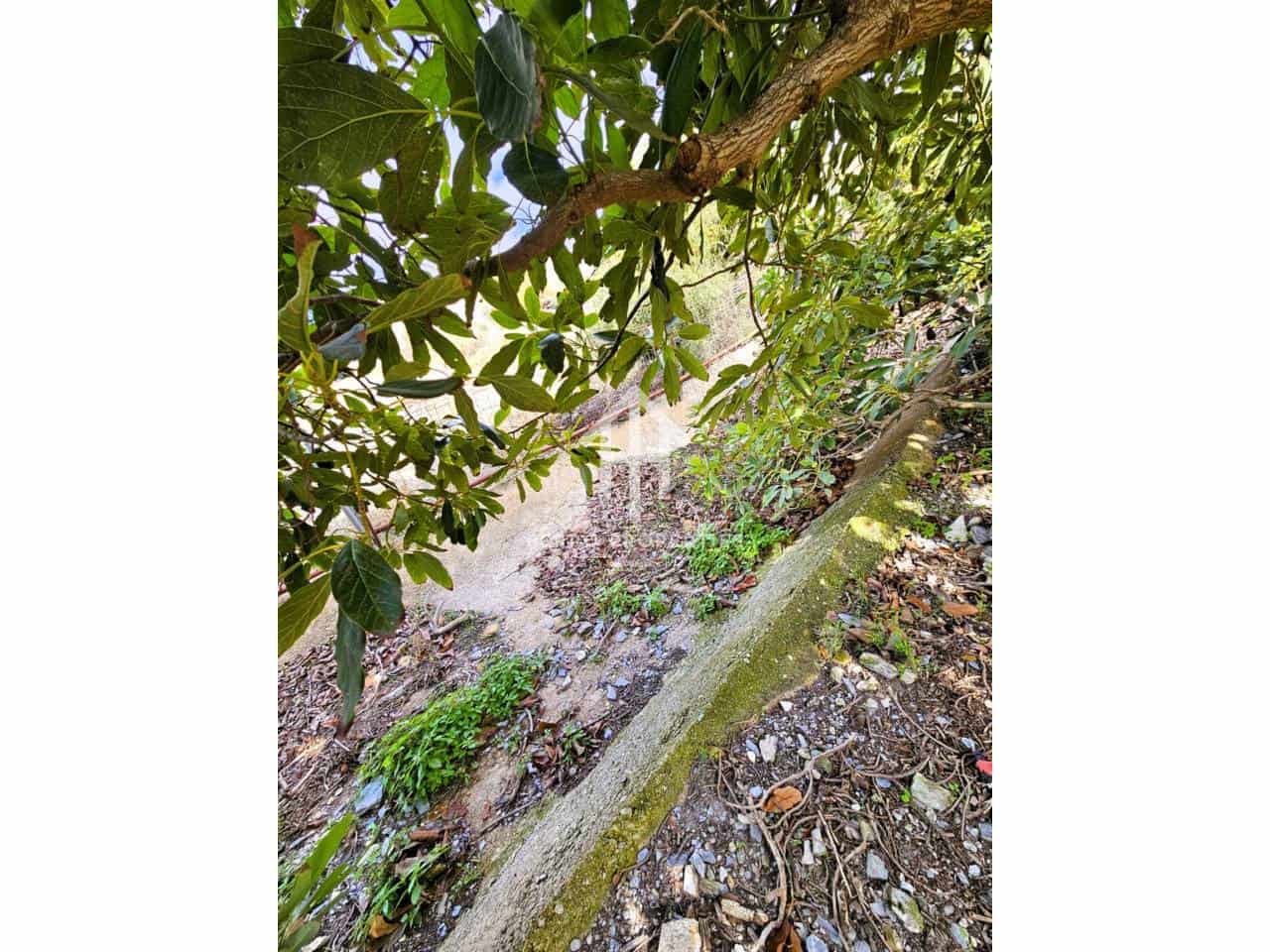 Finca/Landhuis te koop in Motril - € 645.000 (Ref: 9152642)