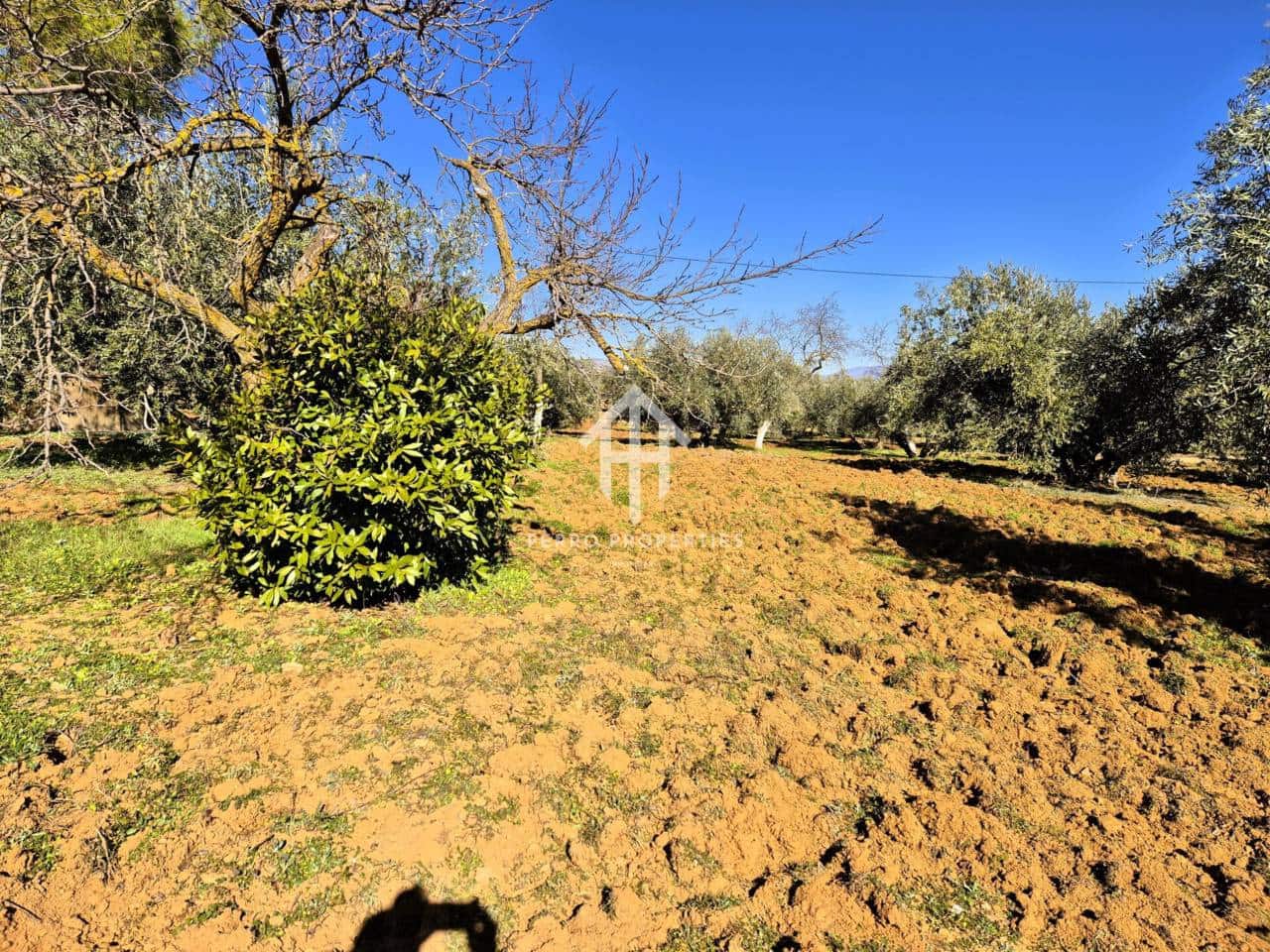 Maalaistalo myytävänä paikassa Ventorros de la Laguna - 120 000 € (Ref: 9152643)