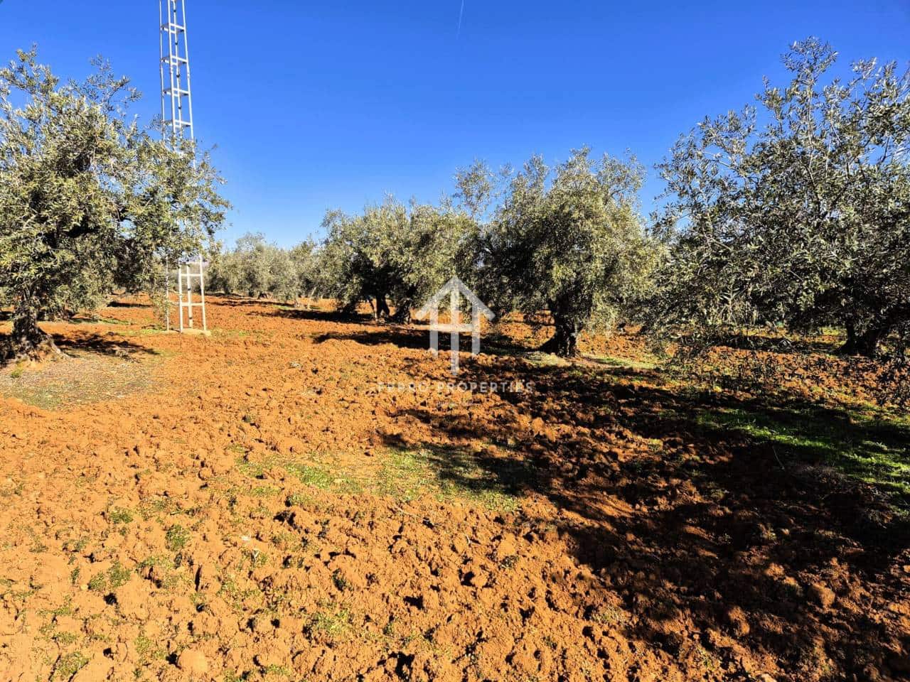 Maalaistalo myytävänä paikassa Ventorros de la Laguna - 120 000 € (Ref: 9152643)