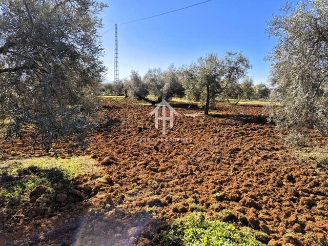 Maalaistalo myytävänä paikassa Ventorros de la Laguna, Loja - 120 000 € (Ref: 9152643)