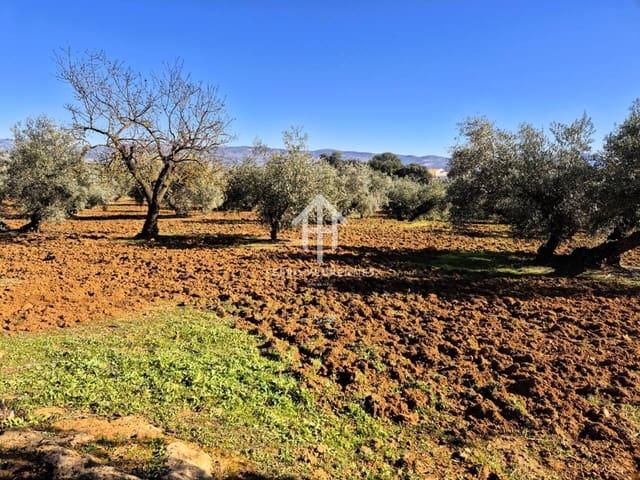 Maalaistalo myytävänä paikassa Ventorros de la Laguna, Loja - 120 000 € (Ref: 9152643)