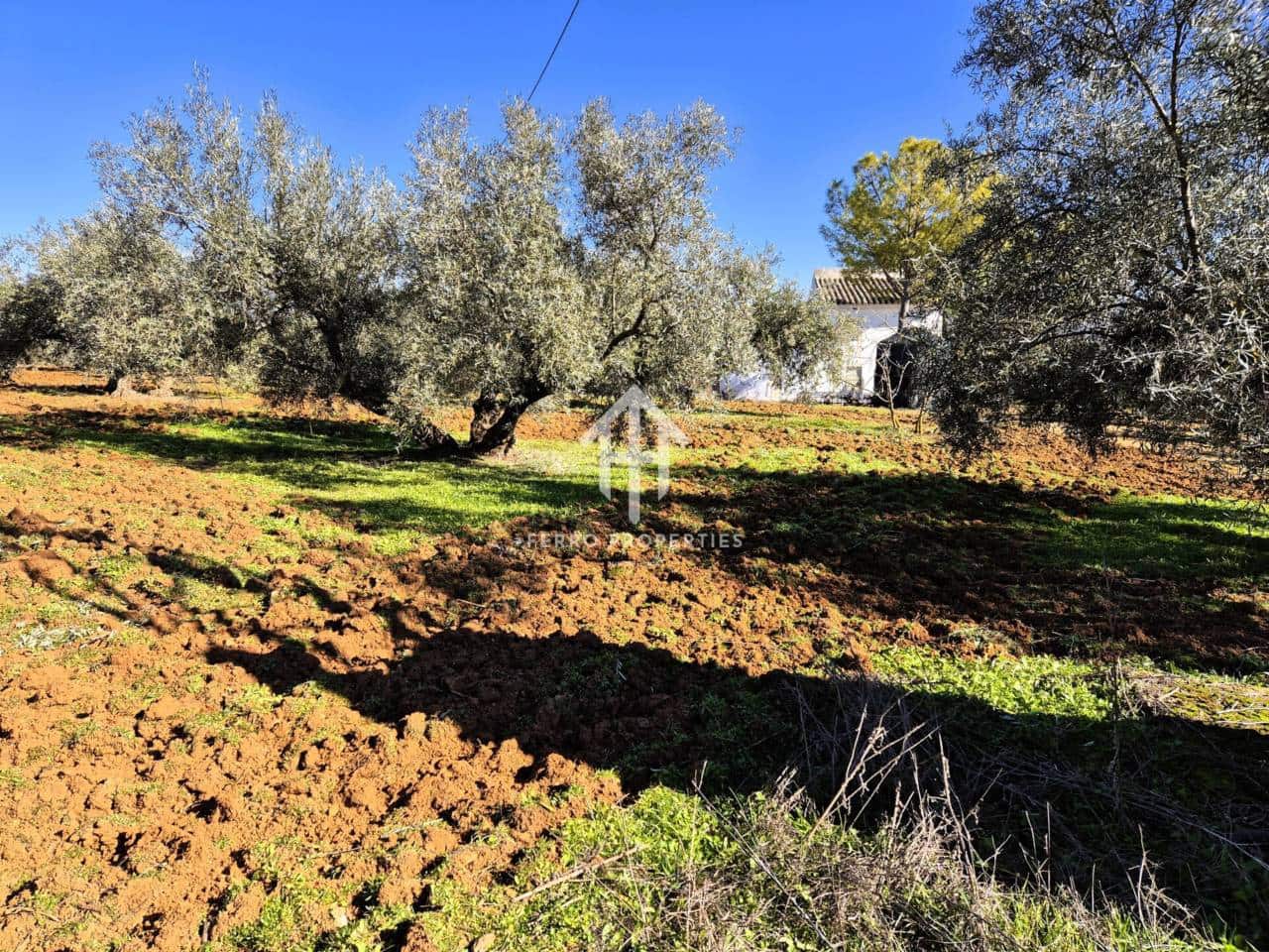 Maalaistalo myytävänä paikassa Ventorros de la Laguna - 120 000 € (Ref: 9152643)