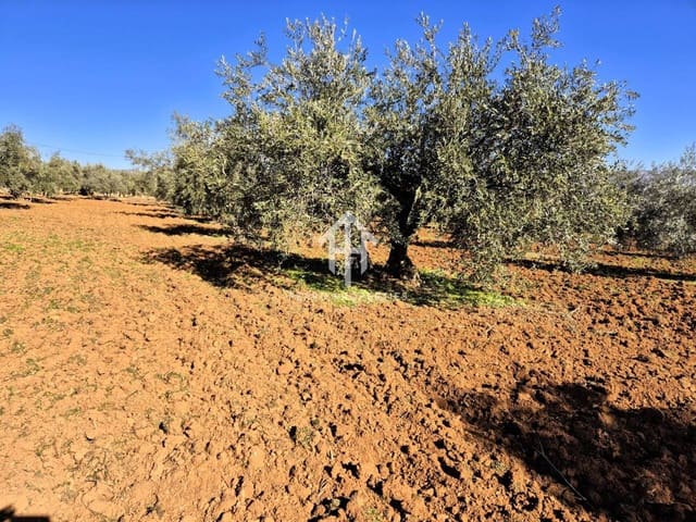 Maalaistalo myytävänä paikassa Ventorros de la Laguna, Loja - 120 000 € (Ref: 9152643)