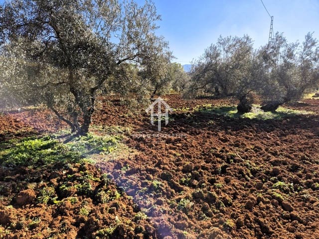 Maalaistalo myytävänä paikassa Ventorros de la Laguna, Loja - 120 000 € (Ref: 9152643)