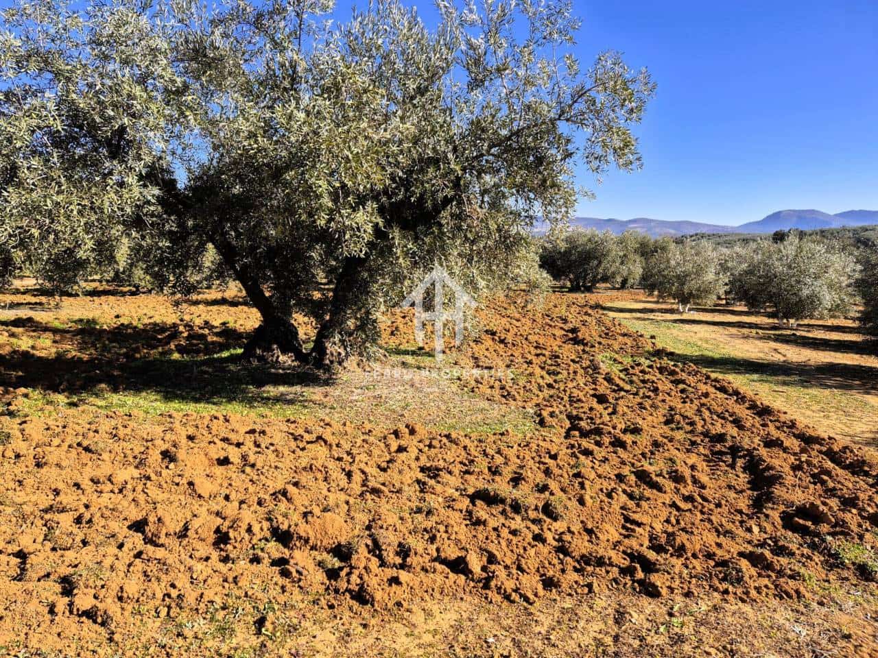 Maalaistalo myytävänä paikassa Ventorros de la Laguna - 120 000 € (Ref: 9152643)