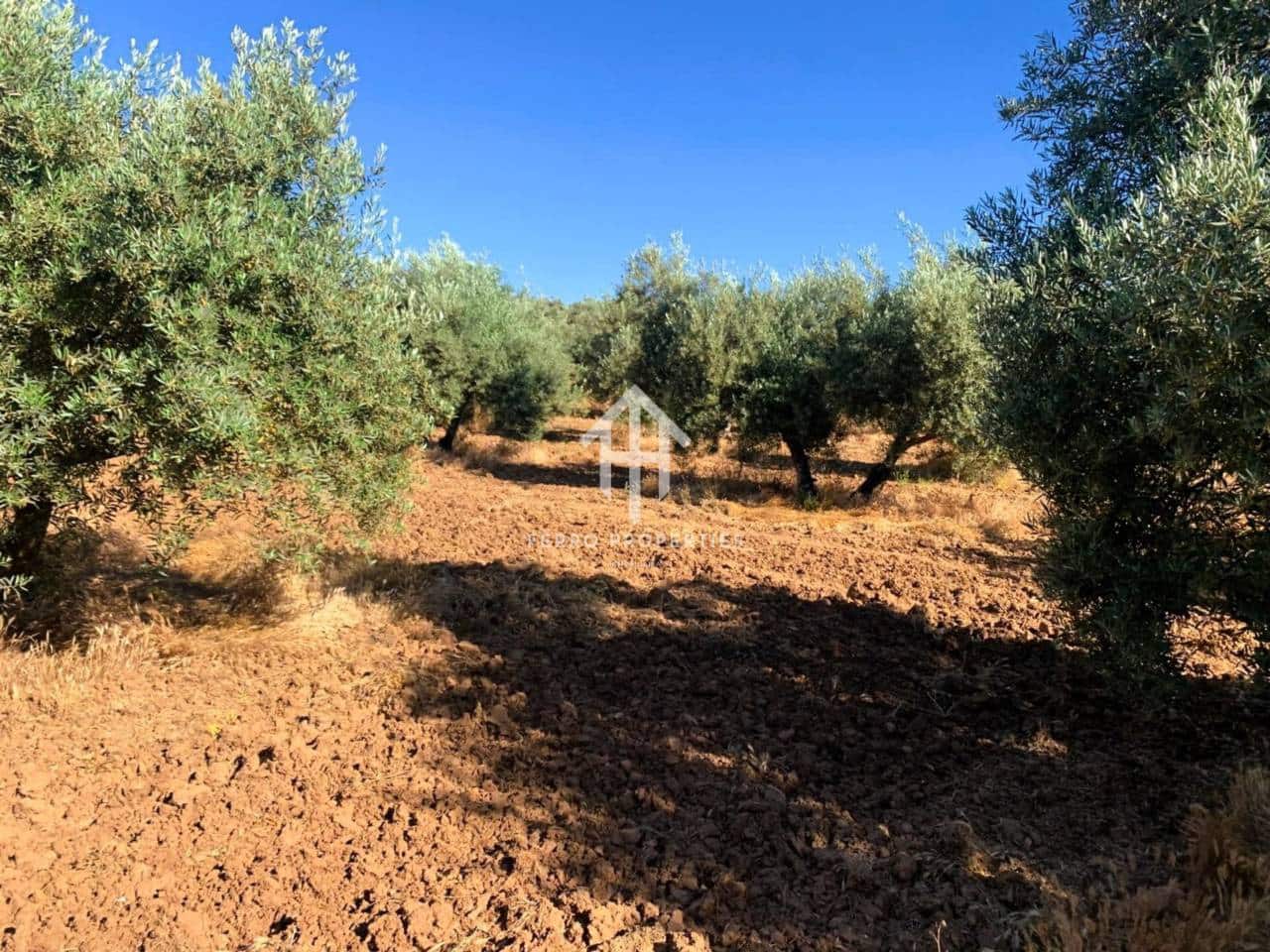 Finca/Maison de Campagne à vendre à Ventorros de la Laguna - 199 000 € (Ref: 9152670)