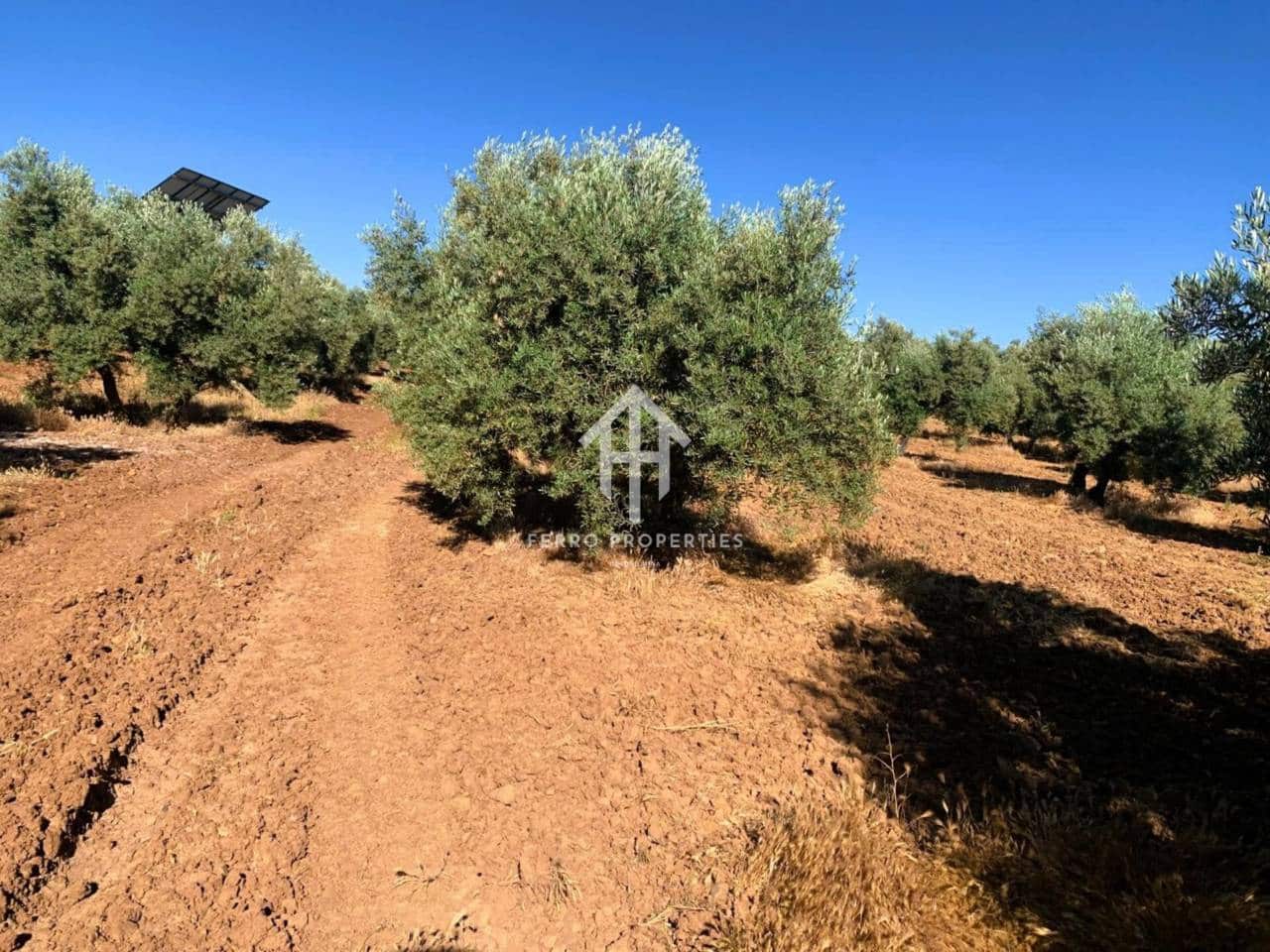 Finca/Maison de Campagne à vendre à Ventorros de la Laguna - 199 000 € (Ref: 9152670)