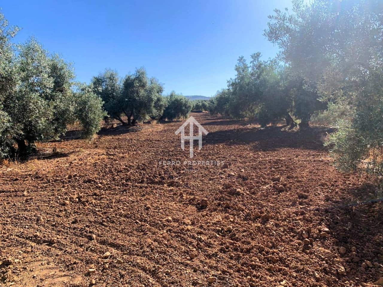 Finca/Maison de Campagne à vendre à Ventorros de la Laguna - 199 000 € (Ref: 9152670)