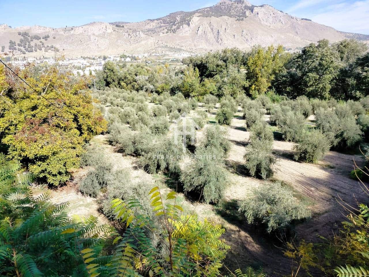 Finka/Dom wiejski na sprzedaż w Loja - 80 000 € (Ref: 9152672)