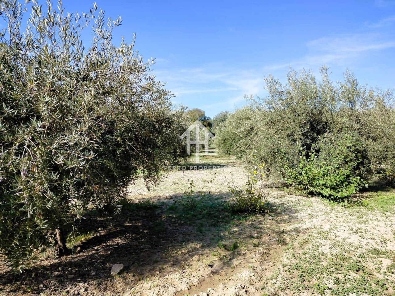 Finka/Dom wiejski na sprzedaż w Loja - 80 000 € (Ref: 9152672)