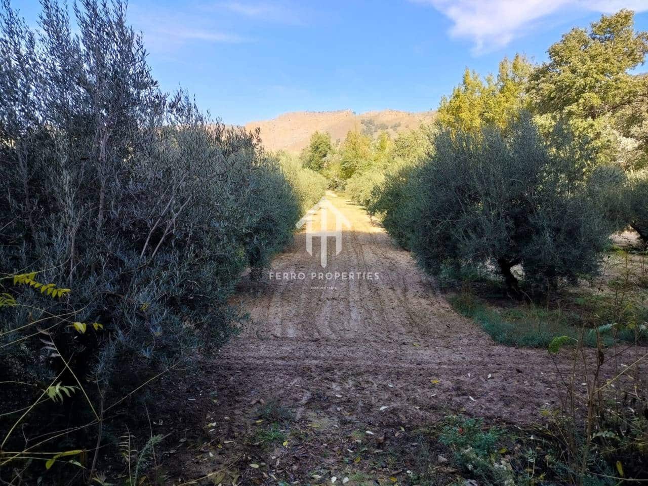 Finka/Dom wiejski na sprzedaż w Loja - 80 000 € (Ref: 9152672)