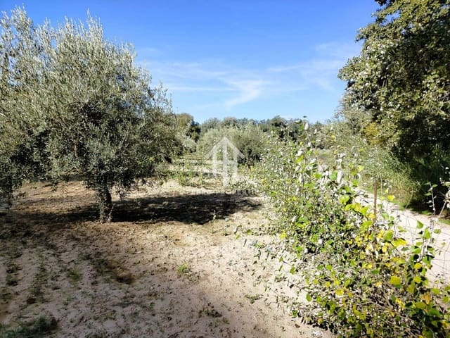 Finka/Dom wiejski na sprzedaż w Loja - 80 000 € (Ref: 9152672)