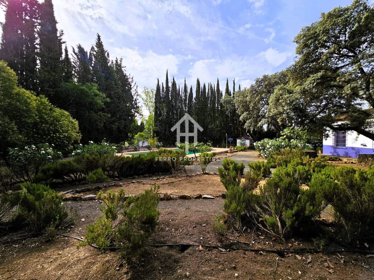 7 soveværelse Finca/Landehus til salg i Salinas med swimmingpool garage - € 895.000 (Ref: 9152674)