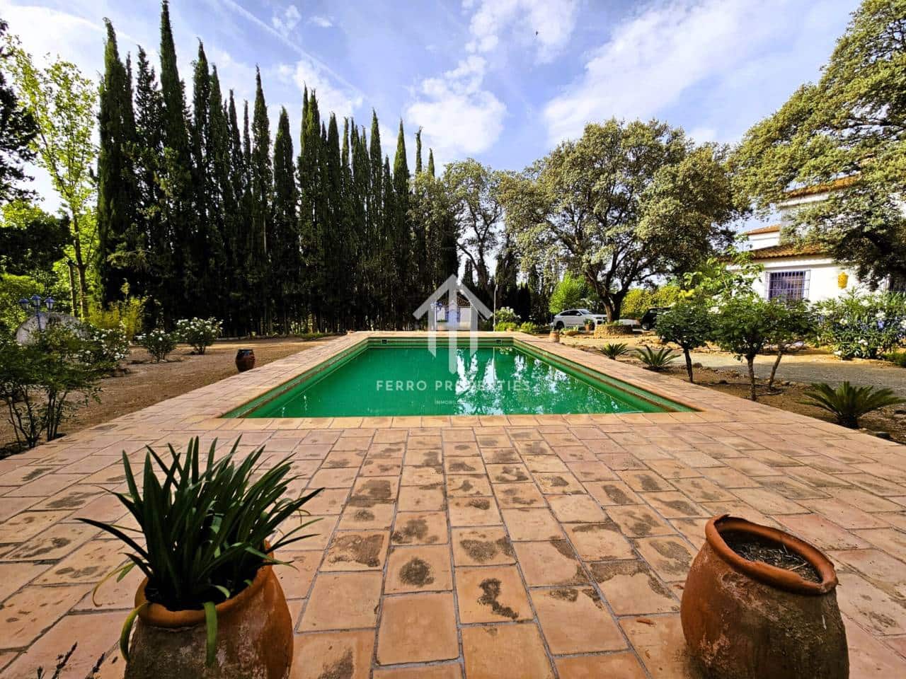 7 soveværelse Finca/Landehus til salg i Salinas med swimmingpool garage - € 895.000 (Ref: 9152674)