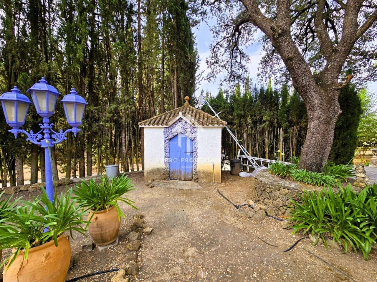 7 soveværelse Finca/Landehus til salg i Salinas med swimmingpool garage - € 895.000 (Ref: 9152674)