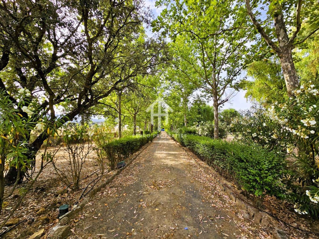 7 soveværelse Finca/Landehus til salg i Salinas med swimmingpool garage - € 895.000 (Ref: 9152674)