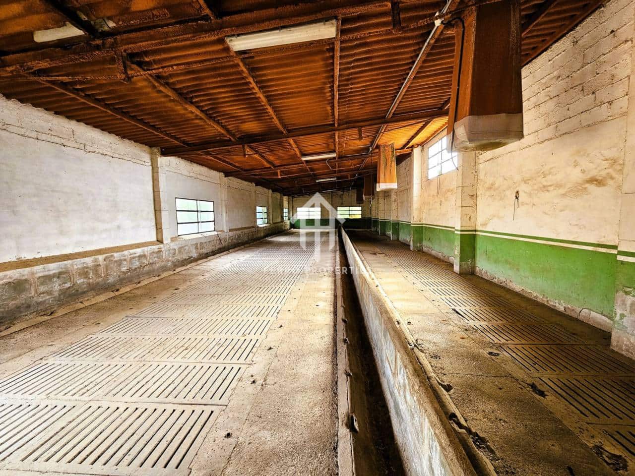 7 soveværelse Finca/Landehus til salg i Salinas med swimmingpool garage - € 895.000 (Ref: 9152674)