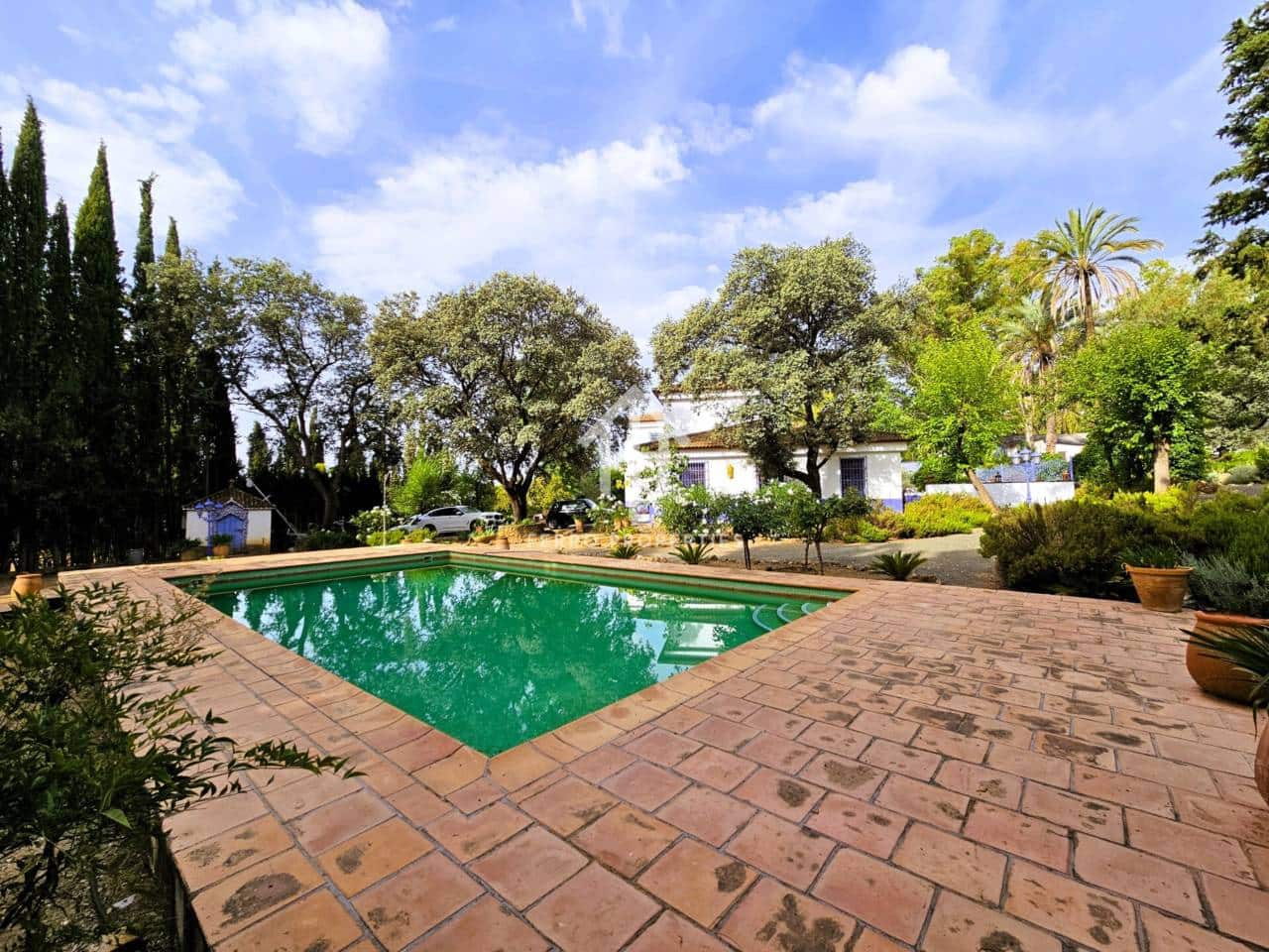 7 soveværelse Finca/Landehus til salg i Salinas med swimmingpool garage - € 895.000 (Ref: 9152674)