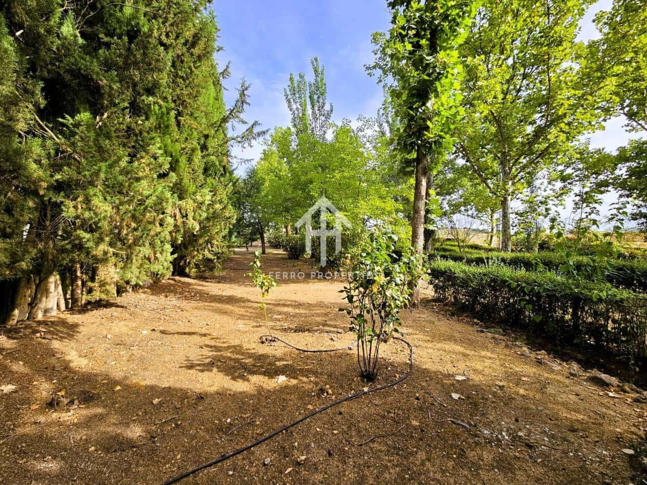 7 soveværelse Finca/Landehus til salg i Salinas med swimmingpool garage - € 895.000 (Ref: 9152674)