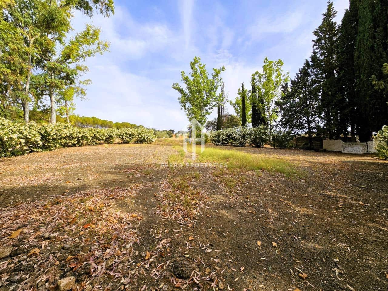 7 soveværelse Finca/Landehus til salg i Salinas med swimmingpool garage - € 895.000 (Ref: 9152674)