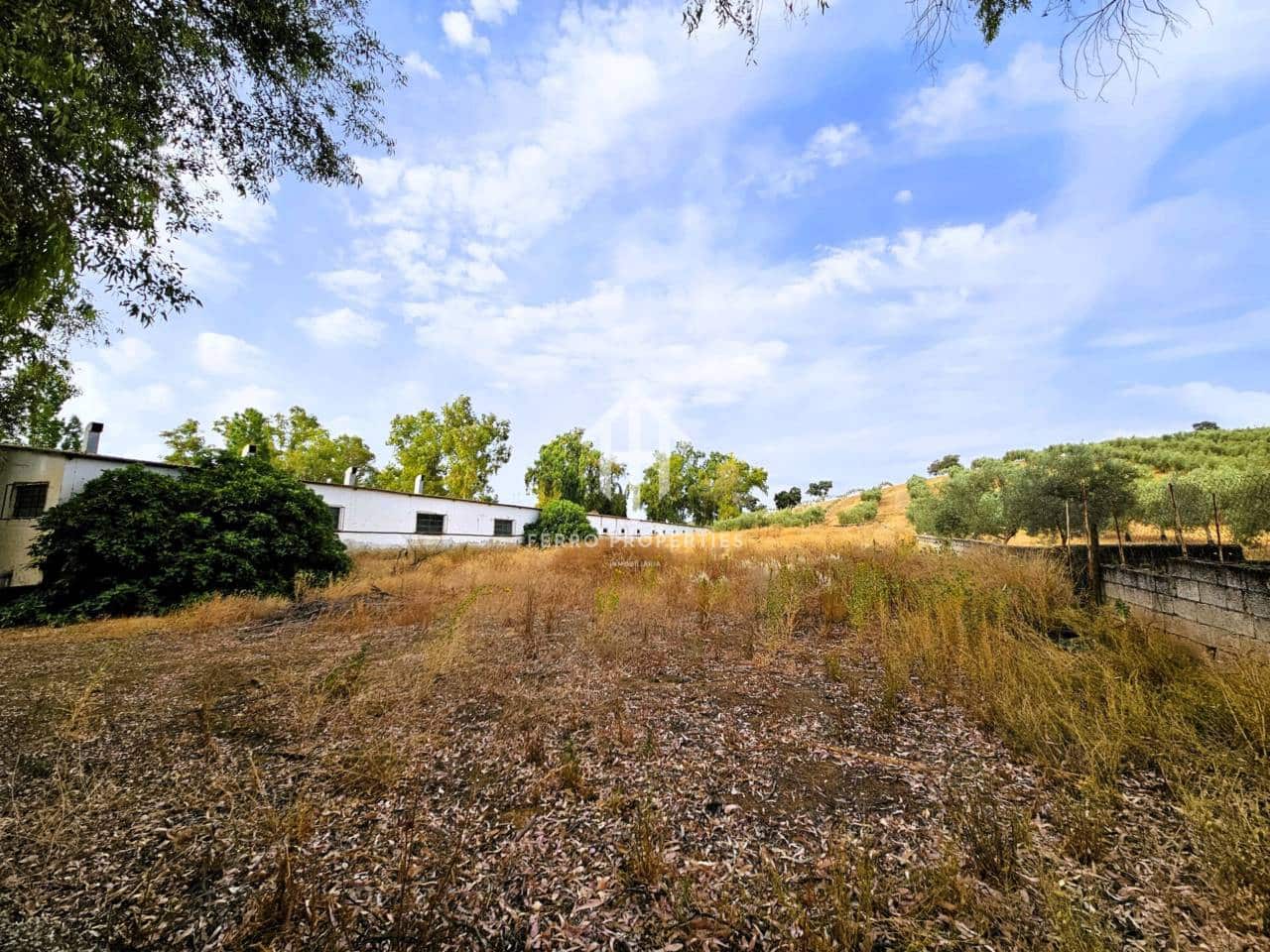 7 soveværelse Finca/Landehus til salg i Salinas med swimmingpool garage - € 895.000 (Ref: 9152674)