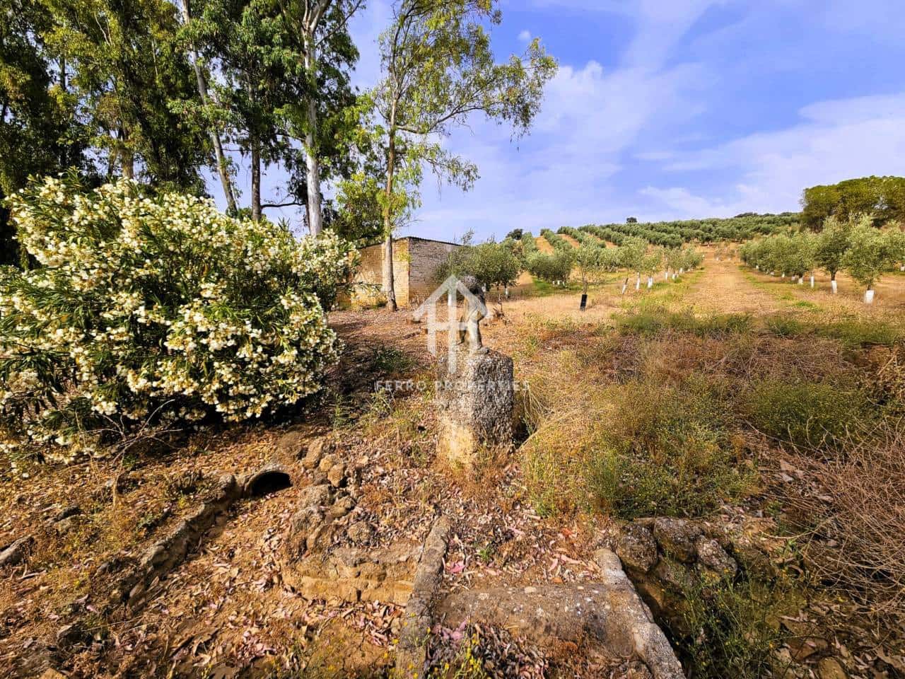 7 soveværelse Finca/Landehus til salg i Salinas med swimmingpool garage - € 895.000 (Ref: 9152674)