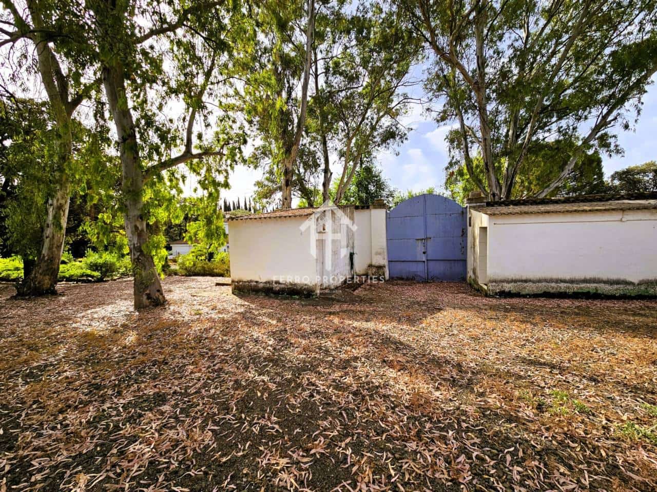 7 soveværelse Finca/Landehus til salg i Salinas med swimmingpool garage - € 895.000 (Ref: 9152674)