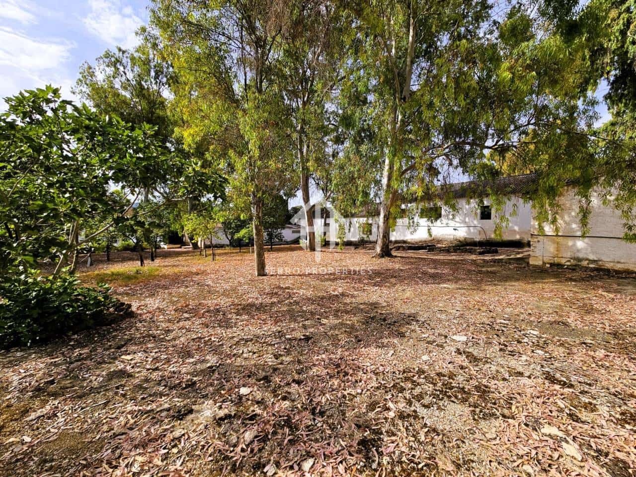 7 soveværelse Finca/Landehus til salg i Salinas med swimmingpool garage - € 895.000 (Ref: 9152674)