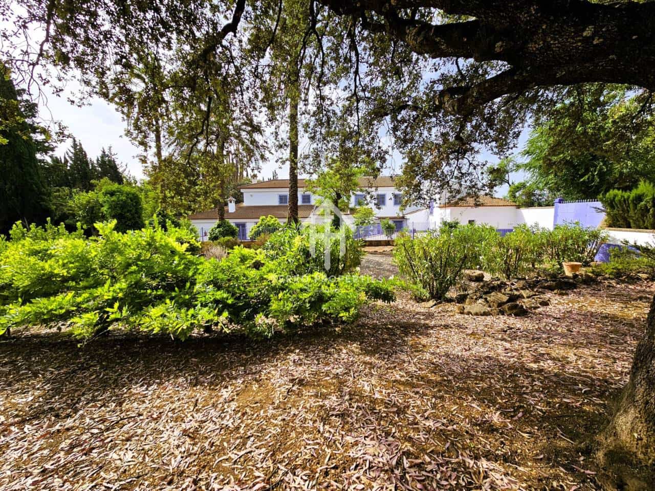 7 soveværelse Finca/Landehus til salg i Salinas med swimmingpool garage - € 895.000 (Ref: 9152674)