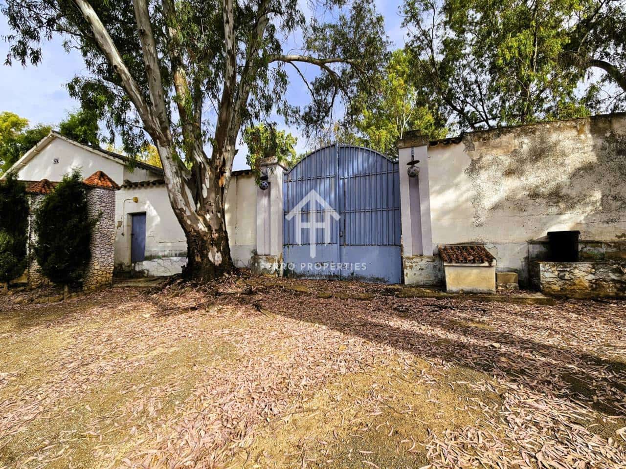 7 soveværelse Finca/Landehus til salg i Salinas med swimmingpool garage - € 895.000 (Ref: 9152674)