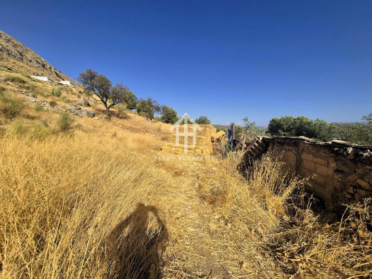 Finca/Country House for sale in Loja - € 150,000 (Ref: 9152678)