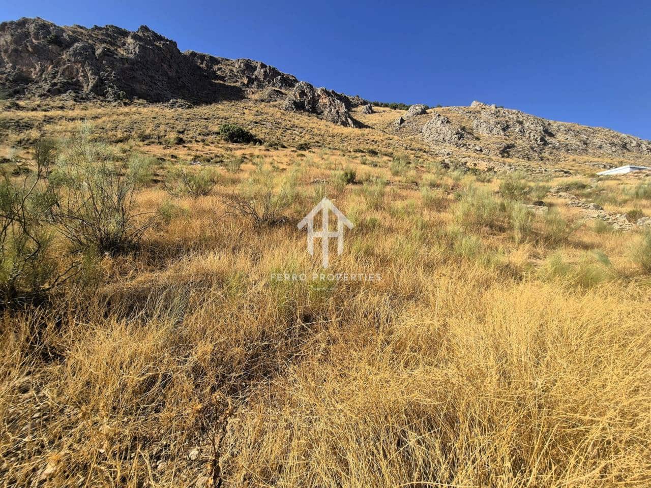 Finca/Country House for sale in Loja - € 150,000 (Ref: 9152678)