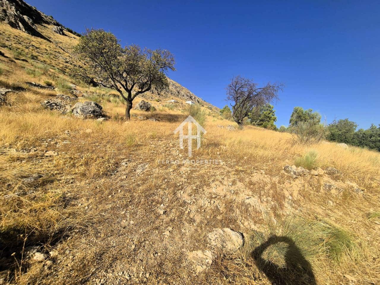 Finca/Country House for sale in Loja - € 150,000 (Ref: 9152678)