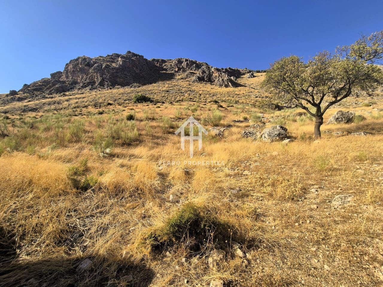 Finca/Country House for sale in Loja - € 150,000 (Ref: 9152678)