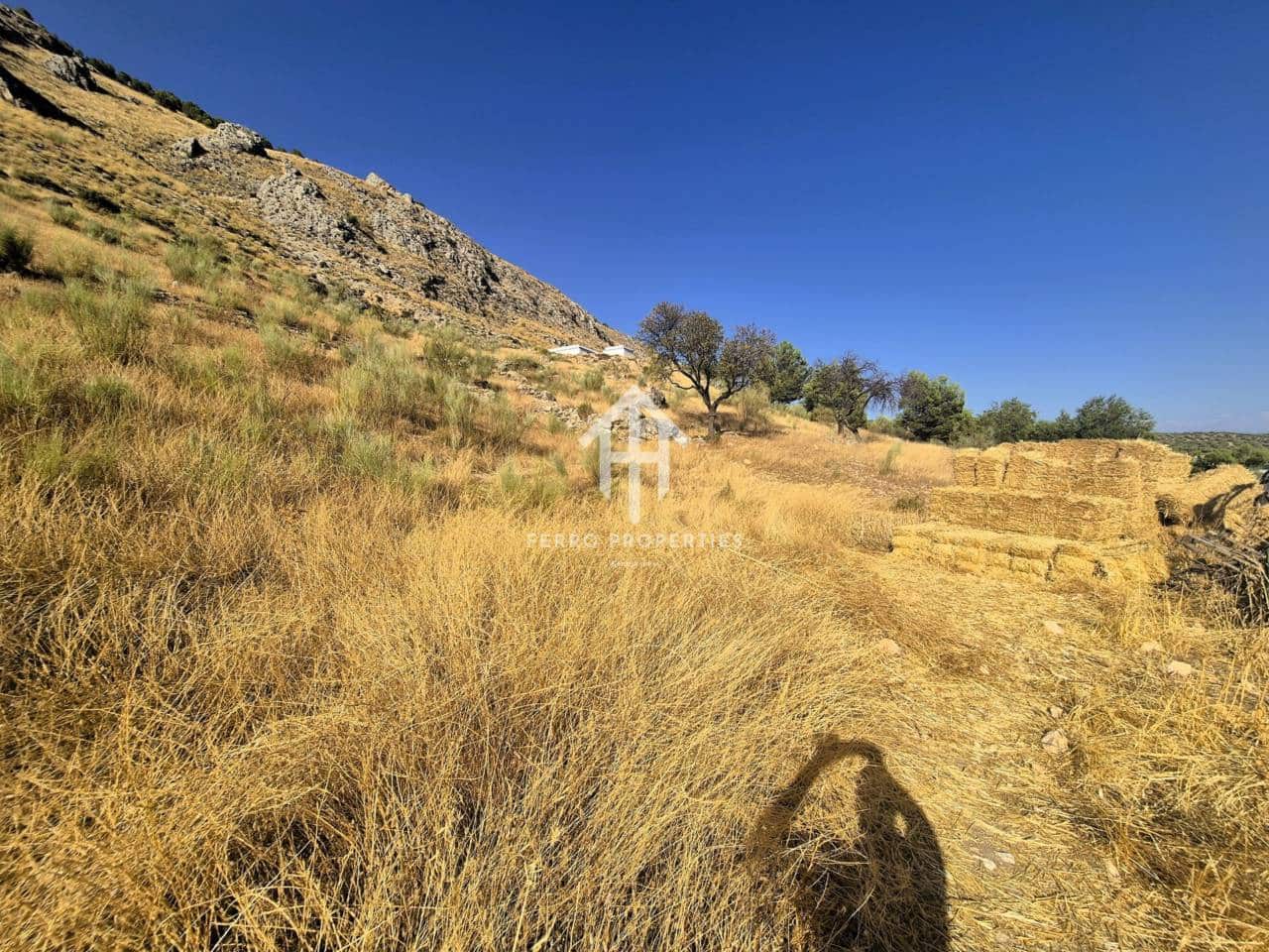 Finca/Country House for sale in Loja - € 150,000 (Ref: 9152678)