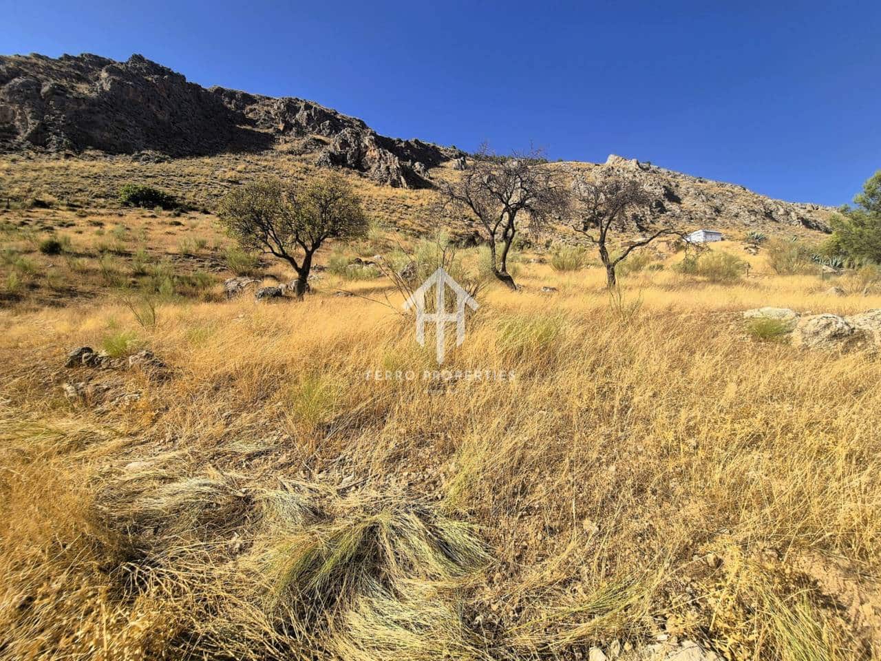 Finca/Country House for sale in Loja - € 150,000 (Ref: 9152678)