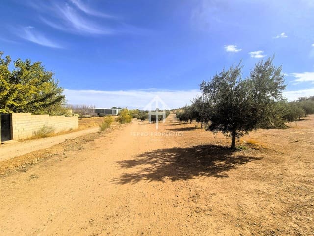 Undeveloped Land for sale in Moraleda de Zafayona - € 100,000 (Ref: 9302939)