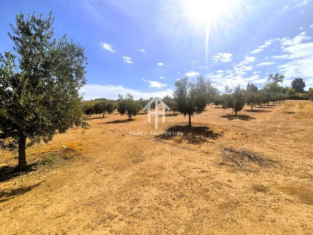Undeveloped Land for sale in Moraleda de Zafayona - € 100,000 (Ref: 9302939)