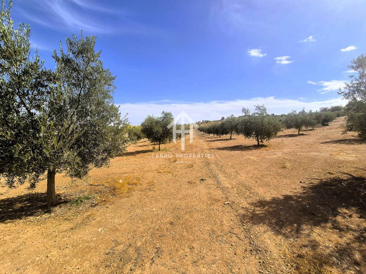 Terreno/Finca Rústica en Moraleda de Zafayona en venta - 100.000 € (Ref: 9302939)