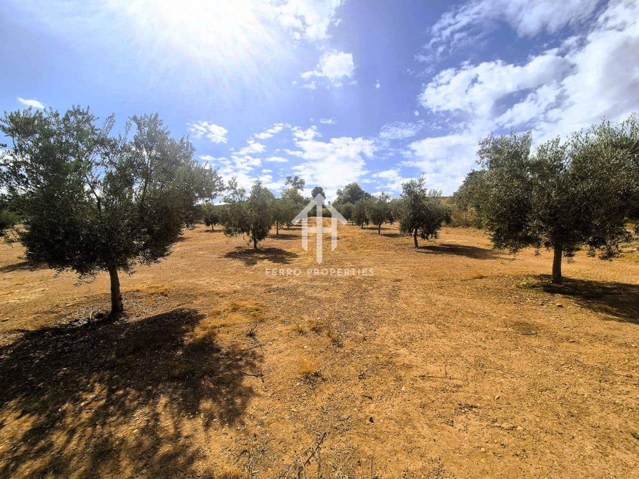 Terreno/Finca Rústica en Moraleda de Zafayona en venta - 100.000 € (Ref: 9302939)