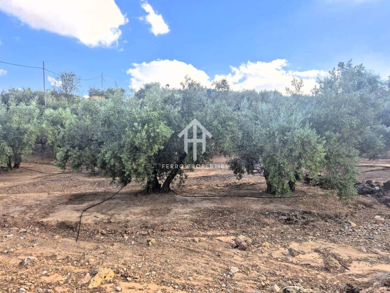 Finca/Landhuis te koop in Pinar - € 230.000 (Ref: 9340684)