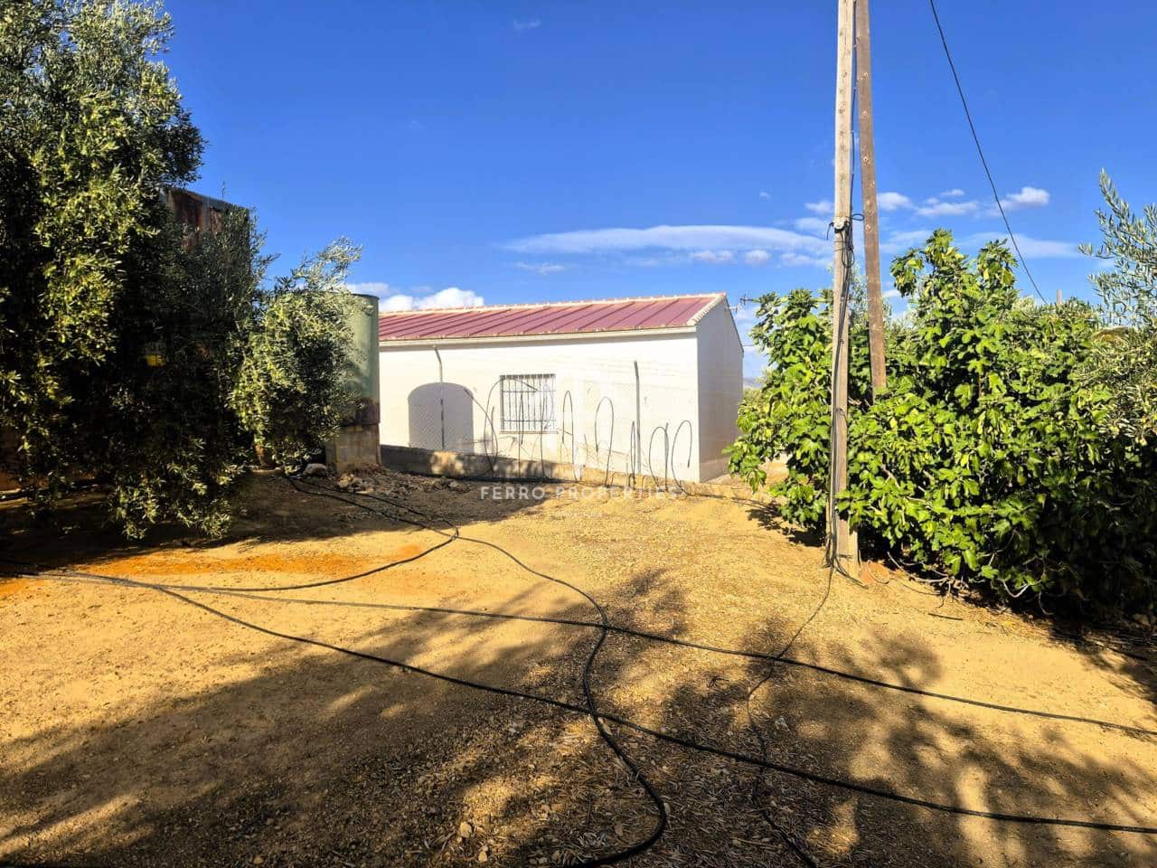 Finca/Landhuis te koop in Pinar - € 230.000 (Ref: 9340684)