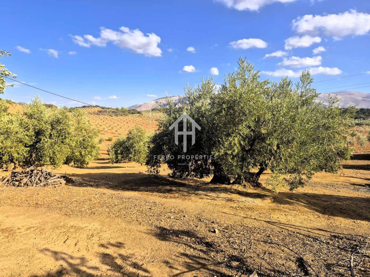 Finca/Landhuis te koop in Pinar - € 230.000 (Ref: 9340684)