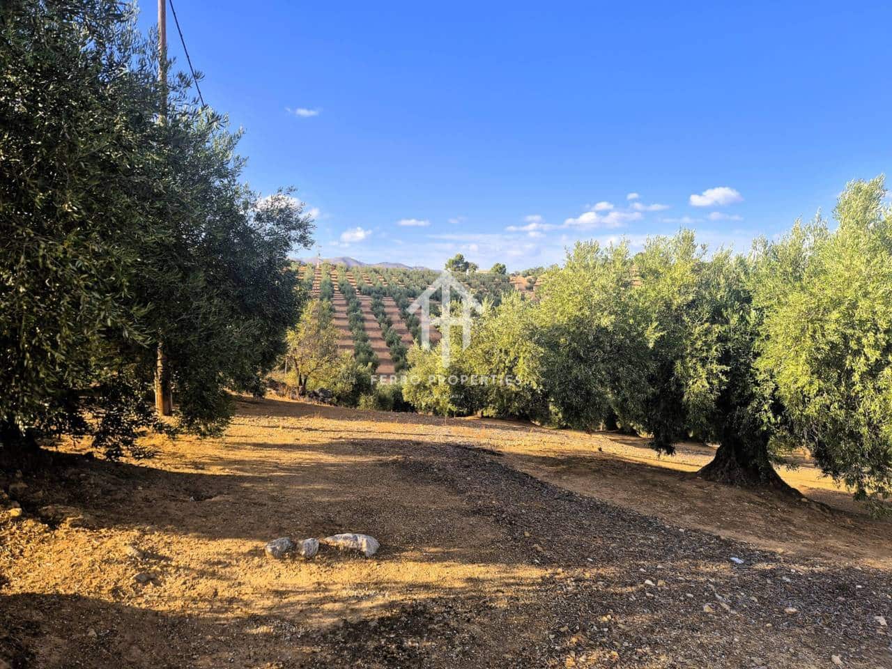 Finca/Landhuis te koop in Pinar - € 230.000 (Ref: 9340684)