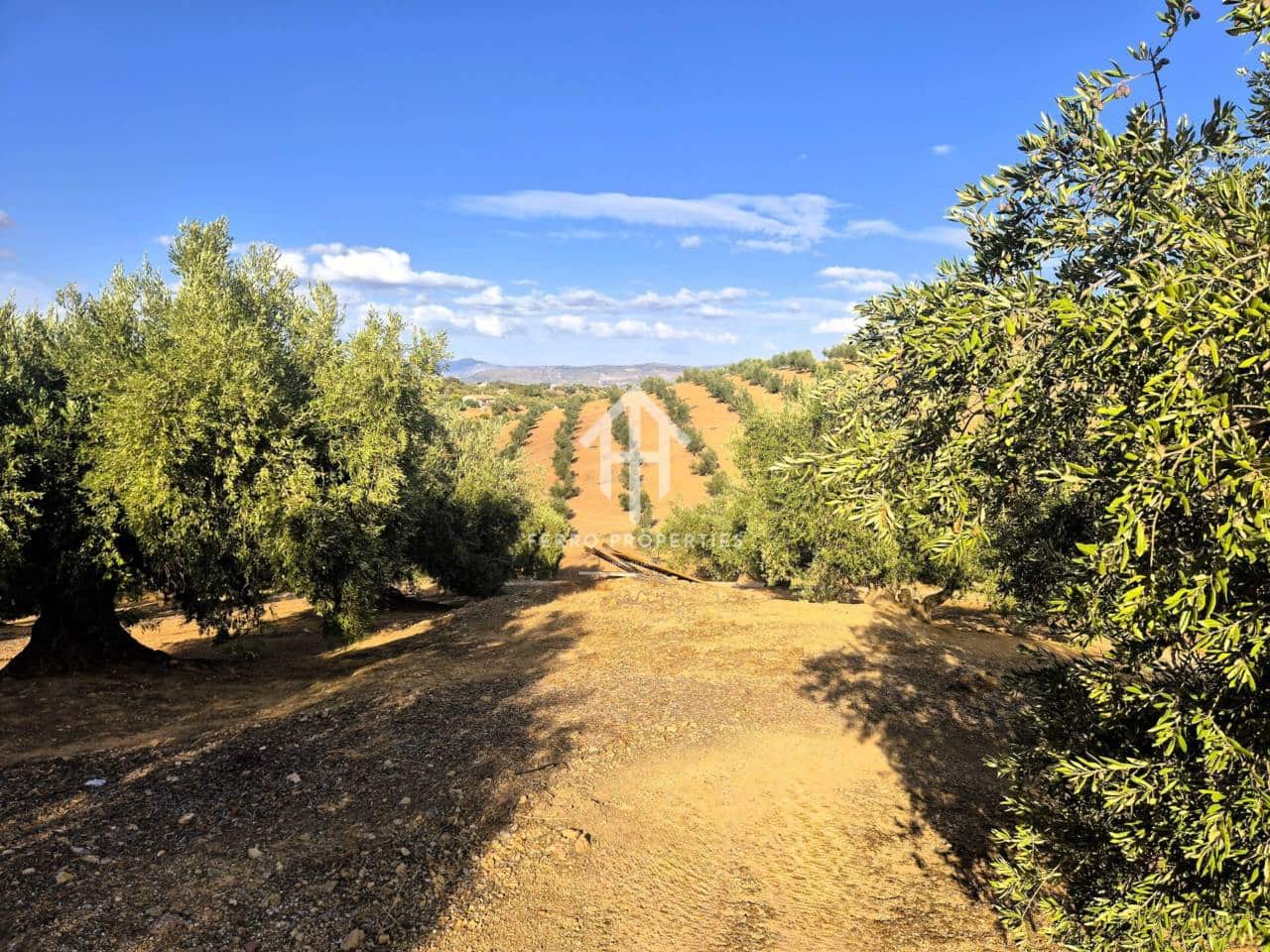 Finca/Landhuis te koop in Pinar - € 230.000 (Ref: 9340684)