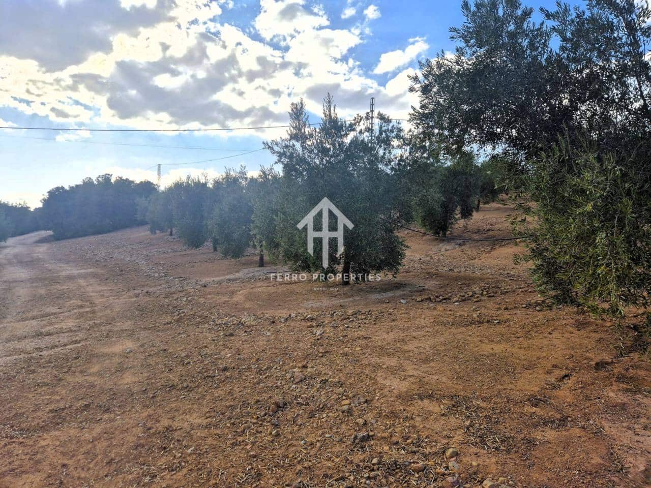 Finca/Landhuis te koop in Pinar - € 230.000 (Ref: 9340684)