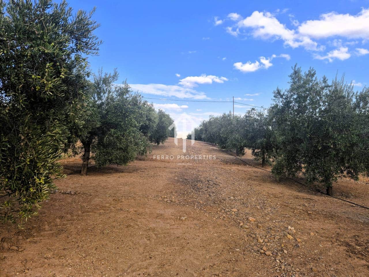 Finca/Landhuis te koop in Pinar - € 230.000 (Ref: 9340684)