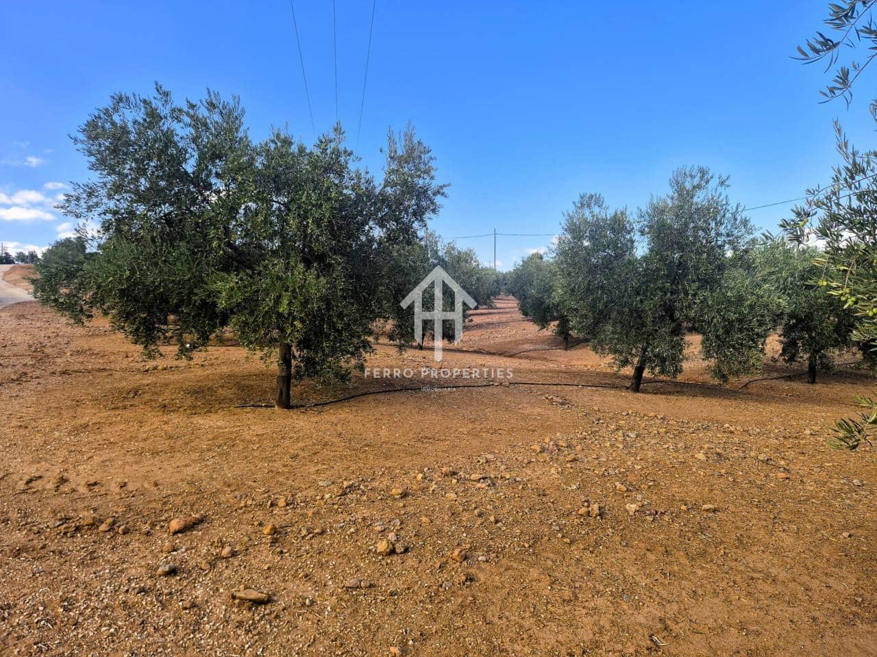 Finca/Landhuis te koop in Pinar - € 230.000 (Ref: 9340684)